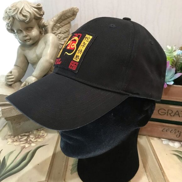 Pacific Headwear 2013 Year of the Water Snake Chinese Zodiac Cap Hat Black - Picture 3 of 14